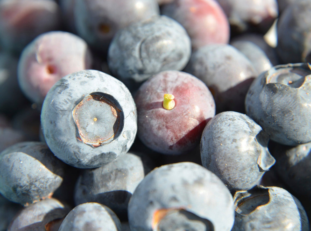 Blueberry Jam with No Added Sugar – The Wild Pear Co.